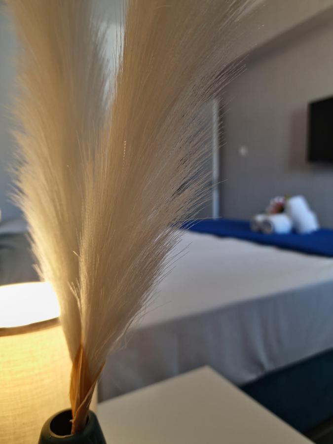 Carisa Deluxe Apartment With Jacuzzi Larnaca Eksteriør billede